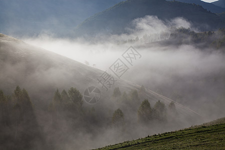 罗马尼亚萨尔西乌亚山丘的浓雾的夏季风景森林日落薄雾天空冒险阳光旅游蓝色假期爬坡图片