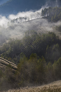 罗马尼亚萨尔西乌亚山丘的浓雾的夏季风景旅游日落蓝色太阳季节旅行场景森林假期农村图片