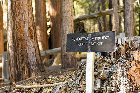 加利福尼亚州塞科亚国家公园重建植被项目标志图片