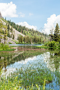 加利福尼亚州Mammoth湖的双湖泊远足反射森林山脉风景冒险绿色旅行长毛松树图片