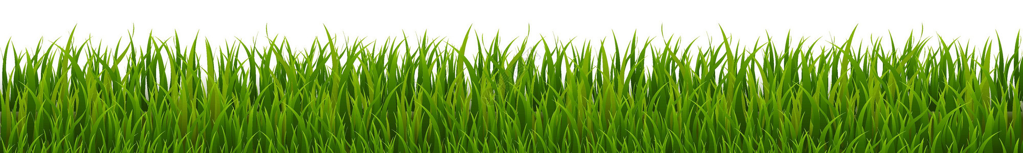 绿草边框宏观插图土地足球草地纹理牧场植物环境活力图片