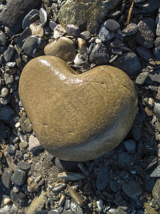 心形石温泉海滩石头灰色岩石休息石质卵石情感图片