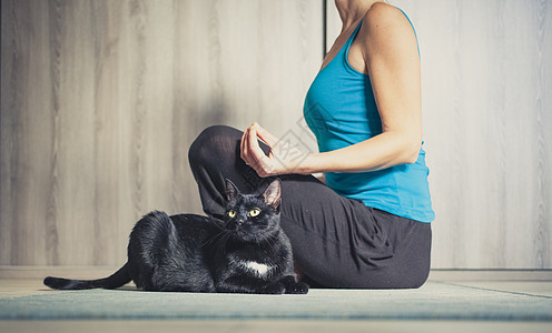 猫手绘女人在家做瑜伽  黑猫坐在她旁边手绘专注女士公寓女性福利体操身体卡通片娱乐背景