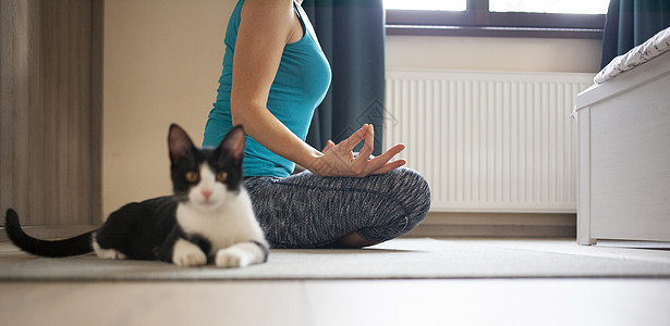 女人在家做瑜伽  黑猫坐在她旁边涂鸦卡通片训练体操宠物活动身体娱乐手绘运动图片