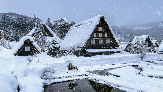 冬季白川果村 教科文组织世界遗产遗址 日本游客建筑历史世界房子村庄地标茅草历史性文化图片