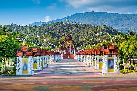 在泰国清迈清迈的皇家佛罗拉特查普鲁克花园艺术博览会纪念碑展示文化植物吸引力地标建筑学图片