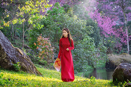 穿着越南文化的妇女 在樱花花园中传统女士公园季节女性樱花帽子花园旅行花朵城市图片