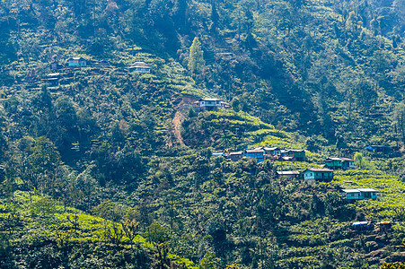 喜马拉雅山区开阔乡村美丽的黄色草地上的绿色梯田和一个小部落村庄的景观全景图片