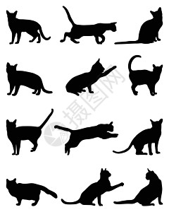 猫的剪影跳跃团体草图插图小猫尾巴动物爪子收藏卡通片图片