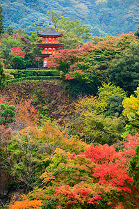 日本京都塔京都秋季寺庙区Koyasu塔背景