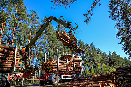 Crane在卡车上装木头男人机器生态装载机松树车辆森林起重机环境木材图片