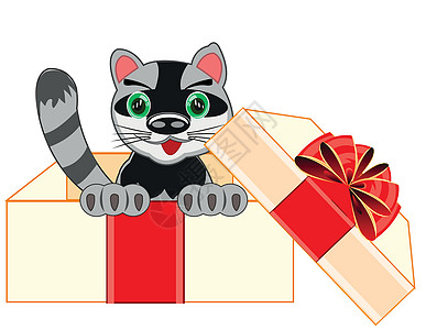 漂亮的猫咪在盒子里的礼物中图片