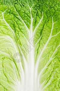特写纹理新鲜的大白菜农场杂货店生长植物饮食农业营养维生素沙拉叶子图片