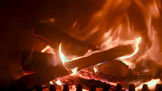 炉火烧炉火 关上门 烧柴材料生物木头经济季节木材力量森林燃料燃烧图片