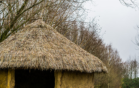 一个原始房子的屋顶有茅草屋顶的 庭院装饰 自然背景图片