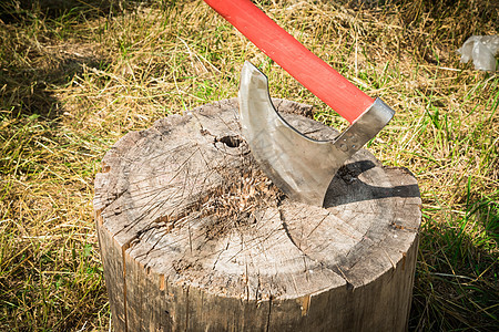 大斧头砍一棵树树干工具工作木头森林木材记录器刀刃活力刀具图片