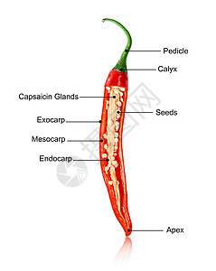 辣椒养分图片
