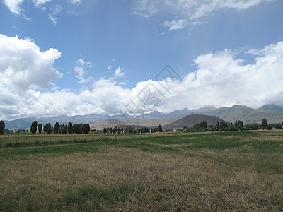 伊塞克库勒山的田地上图片