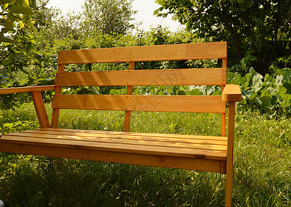 用于庭院设计的夏季花园木凳天然木家具阴影植物花朵露台公园院子场景绿化草地娱乐图片