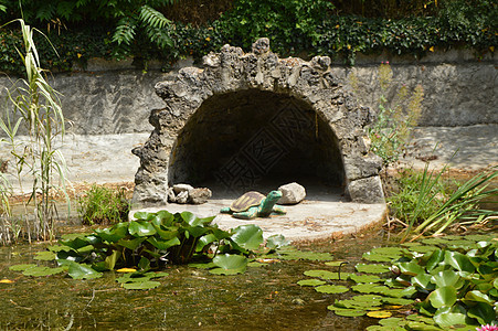 海龟和鸟类数量 与水百合相伴的海龟和鸟类数量喷泉雕像反射公园花园艺术房子石窟起重机植物图片