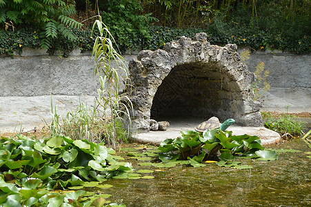 海龟和鸟类数量 与水百合相伴的海龟和鸟类数量植物雕像旅行花园起重机石窟数字石头雕塑灌木丛图片