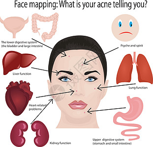 面部映射 你的粉刺告诉你什么药品缺陷皮肤科膀胱女性身体痘痘器官女孩化妆品图片