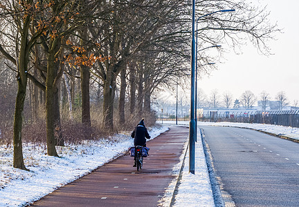 荷兰冬季冬季在一条公路上骑自行车的骑自行车者图片