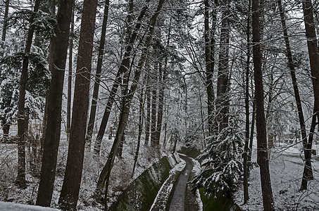 Bankya冬季公园的雪树和河流大图景图片