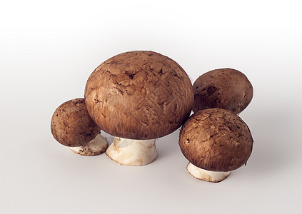 棕帽香皮尼翁蘑菇菌类厨房食物植物宏观美食饮食蔬菜小吃烹饪图片