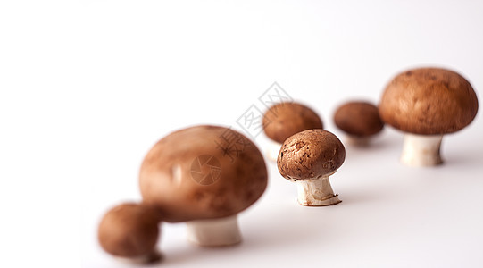 棕帽香皮尼翁蘑菇蔬菜烹饪植物团体宏观美食饮食营养小吃食物图片