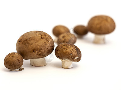 棕帽香皮尼翁蘑菇食物小吃营养按钮团体烹饪宏观厨房植物美食图片