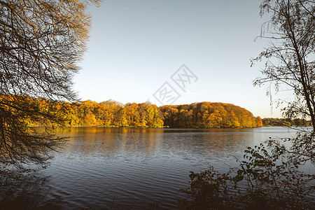 在秋天的湖中 被树木包围着图片