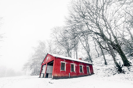 红谷仓 在薄雾的冬季风景中图片