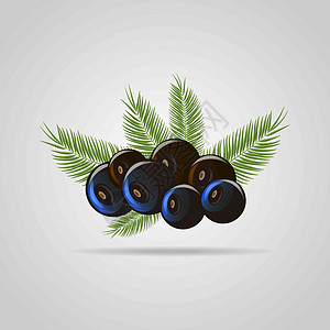 带有棕榈叶的黑色阿卡伊莓平板图标 生态食物矢量说明图片