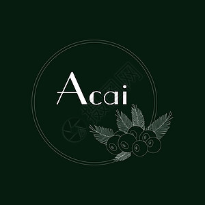 剪影 acai 浆果与棕榈叶和文本 Acai 在 fram图片