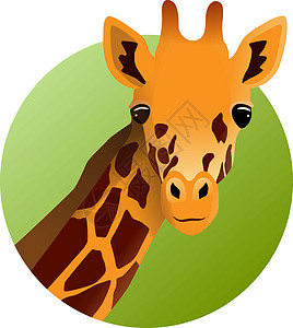 Giraffe 插图 动物图标图片