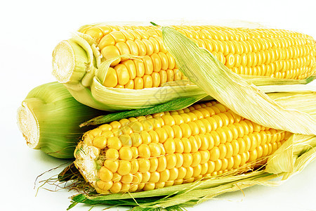 新鲜玉米核心金子饮食食物耳朵宏观文化营养植物粮食图片