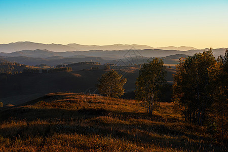 山上的美丽日落天堂太阳草地日出山脉公园环境天空松树薄雾图片