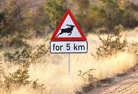 交通标志 注意 Springbok交叉路图片