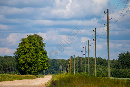 乡村公路空荡荡的风景国家土地电线季节树木假期电线杆木头场地谷物图片