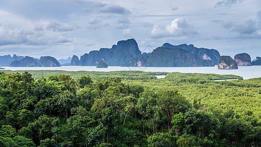 Phang Nga湾内绿海林面积风景红树海岸海洋植物衬套多云全景池塘环境图片