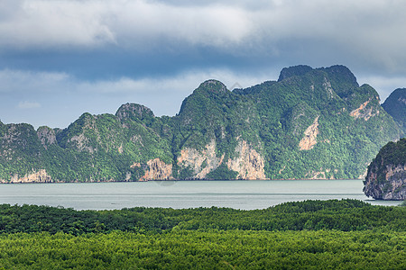 Phang Nga湾内绿海林面积环境植物绿色衬套森林池塘红树风景海岸海洋图片