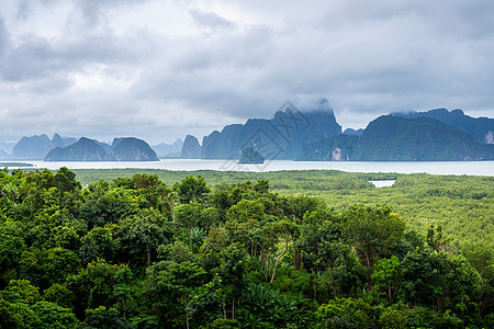 Phang Nga湾内绿海林面积风景公园植物海洋森林池塘海岸绿色衬套多云图片