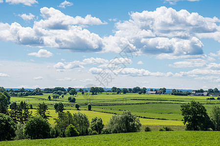 绿色的景色 仰望草地和阳光明媚的天空图片