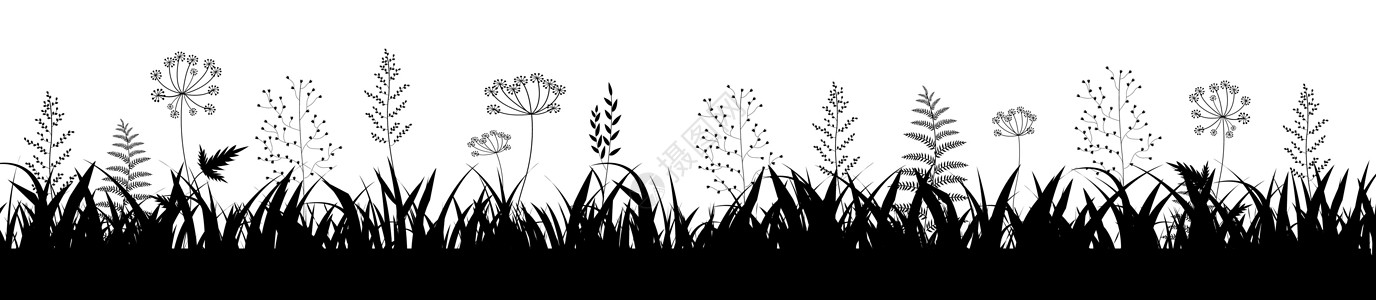 草框架白背景生态草皮植物树篱边框杂草国家叶子边界幼苗图片