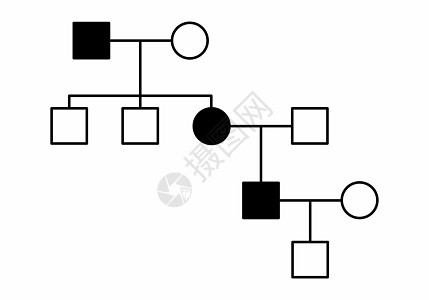 简单家庭图表图插图图片