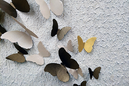 建筑物墙壁背景上的装饰蝴蝶图片