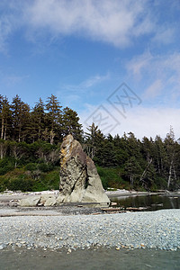 美丽的太平洋海岸 在奥运国家公园里半岛海岸岩石国家日志太阳编队远足巨石海洋图片