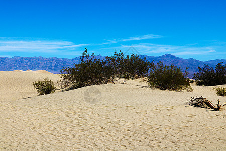 沙漠的大沙丘 摄影师和旅行家的好地方 沙滩的美丽结构 (笑声)图片