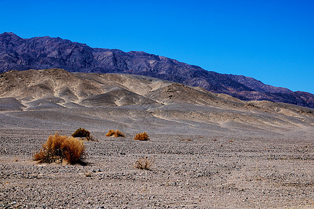 加州死亡谷国家公园 死亡谷国家公园的恶水池公园蓝色沙漠荒野恶水盆地日出死亡旅游坏水图片